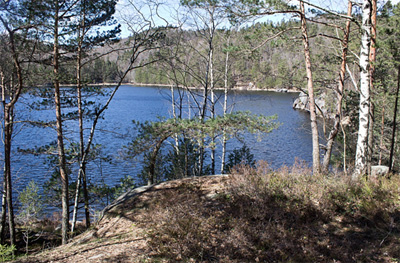 Fiskevann